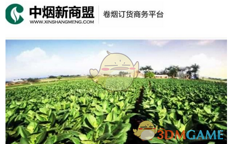 小甜甜向前夫求复合